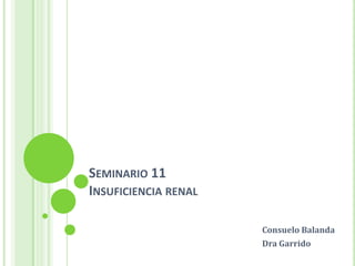 SEMINARIO 11
INSUFICIENCIA RENAL

                      Consuelo Balanda
                      Dra Garrido
 
