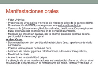 • Fetor Urémico.
• Presencia de Urea salival y niveles de nitrógeno úrico de la sangre (BUN).
Una elevación del BUN puede generar una estomatitis urémica.
• Xerostomía (alteraciones glándulas salivales, deshidratación y respiración
bucal originada por alteraciones en la perfusión pulmonar).
• Mucosas se presentan pálidas, por la anemia presente además de una
perdida del limite mucogingival.
A nivel Óseo:
• Desmineralización con perdida del trabéculado óseo, apariencia de vidrio
esmerilado.
• Perdida total o parcial de lamina dura.
• Lesiones de celular gigantes calcificaciones o lesiones fibroquisticas.
• Movilidad dentaria.
• Aumento en la sensibilidad pulpar.
La etiología de estas manifestaciones es la osteodistrofia renal, el cual es el
resultado de desordenes en el metabolismo de calcio, fosforo y vitamina D.
Manifestaciones orales
 