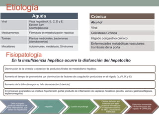 Fisiopatología
Crónica
Alcohol
Viral
Colestasia Crónica
Hígado congestivo crónico
Enfermedades metabólicas vasculares:
trombosis de la porta
∑∑∑ Aguda
Viral Virus hepatitis A, B, C, D y E.
Epstein Barr
Citomegalovirus
Medicamentos Fármacos de metabolización hepática
Toxinas Plantas medicinales, bacterianas
(cianobacterias)
Misceláneo Autoinmunes, metástasis, Síndromes
Aguda
En la insuficiencia hepática ocurre la disfunción del hepatocito
Disminución de la síntesis y excreción de productos finales de metabolismo hepático.
Aumenta el tiempo de protrombina por disminución de factores de coagulación producidos en el hígado (V,VII, IX y X)
Aumento de la bilirrubina por su falta de excreción (Ictericia).
En procesos avanzados se produce hipertensión portal producto de inflamación de capilares hepáticos (ascitis, várices gastroesofágicas,
esplenomegalia)
Daño al hígado
produce infiltración de
cels inflamatorias, que
dañan los hepatocitos
Hepatitis Lesión se prolonga
Células dañadas son
rodeadas por tejido
cicatrizal formado por
un depósito excesivo
de MEC, produciendo
FIBROSIS
Distorsión irreversible
de la estructura del
hígado  CIRROSIS
Etiología
 