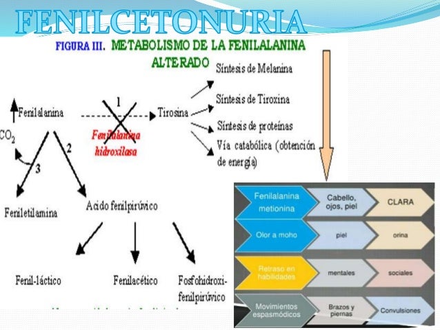 instituto metabolismo celular - Información general Un