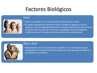 Factores Biológicos
Edad
• Daño acumulado en el tiempo sobre las estructuras orales.
• En edad avanzada hay deterioro físico: Pérdida de agudeza visual y
auditiva, menor capacidad del sistema inmune, disminución de la fuerza
muscular, disminución de masa ósea, patología crónica invalidante,
polifarmacia por diversas condiciones sistémicas coexistiendo
Raza y Sexo
• Relacionado con las características sociales y con las conductas que
propenden a la mantención de la salud, como por ejemplo la higiene o
la asistencia a controles.
 