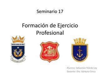 Seminario 17

Formación de Ejercicio
    Profesional




                    Alumno: Sebastián Toledo Lay
                    Docente: Dra. Bárbara Cerca
 