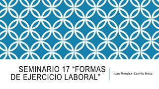 SEMINARIO 17 “FORMAS
DE EJERCICIO LABORAL”
Juan Mendez-Camilo Meza
 