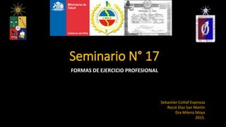 Seminario N° 17
FORMAS DE EJERCICIO PROFESIONAL
Sebastián Colilaf Espinoza
Roció Díaz San Martin
Dra Milena Moya
2015.
 