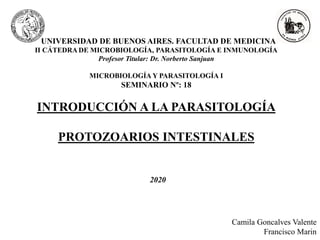UNIVERSIDAD DE BUENOS AIRES. FACULTAD DE MEDICINA
II CÁTEDRA DE MICROBIOLOGÍA, PARASITOLOGÍA E INMUNOLOGÍA
Profesor Titular: Dr. Norberto Sanjuan
MICROBIOLOGÍA Y PARASITOLOGÍA I
SEMINARIO Nº: 18
INTRODUCCIÓN A LA PARASITOLOGÍA
PROTOZOARIOS INTESTINALES
2020
Camila Goncalves Valente
Francisco Marin
 