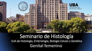 Seminario de Histología
1UA de Histología, Embriología, Biología Celular y Genética
Genital femenino
 
