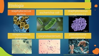 Etiología
staphylococcus
aureus
escherichia coli
streptococcus
pyogenes
corynobacterium
staphylococcus
coagulasa (-)
pseudomona
aeruginosa
Guías Clínicas de la Asociación Española de Cirujanos 2006
 