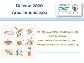 Defensa 2020
Area Inmunología
ASPECTOS ANATOMO - FUNCIONALES DEL
SISTEMA INMUNE
CARACTERISTICAS GENERALES DEL MHC
PROCESAMIENTO Y PRESENTACION DEL Ag
 