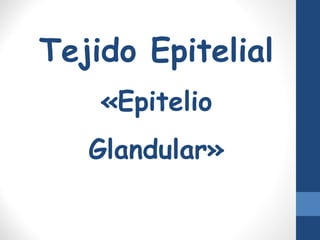 Tejido Epitelial
«Epitelio
Glandular»
 