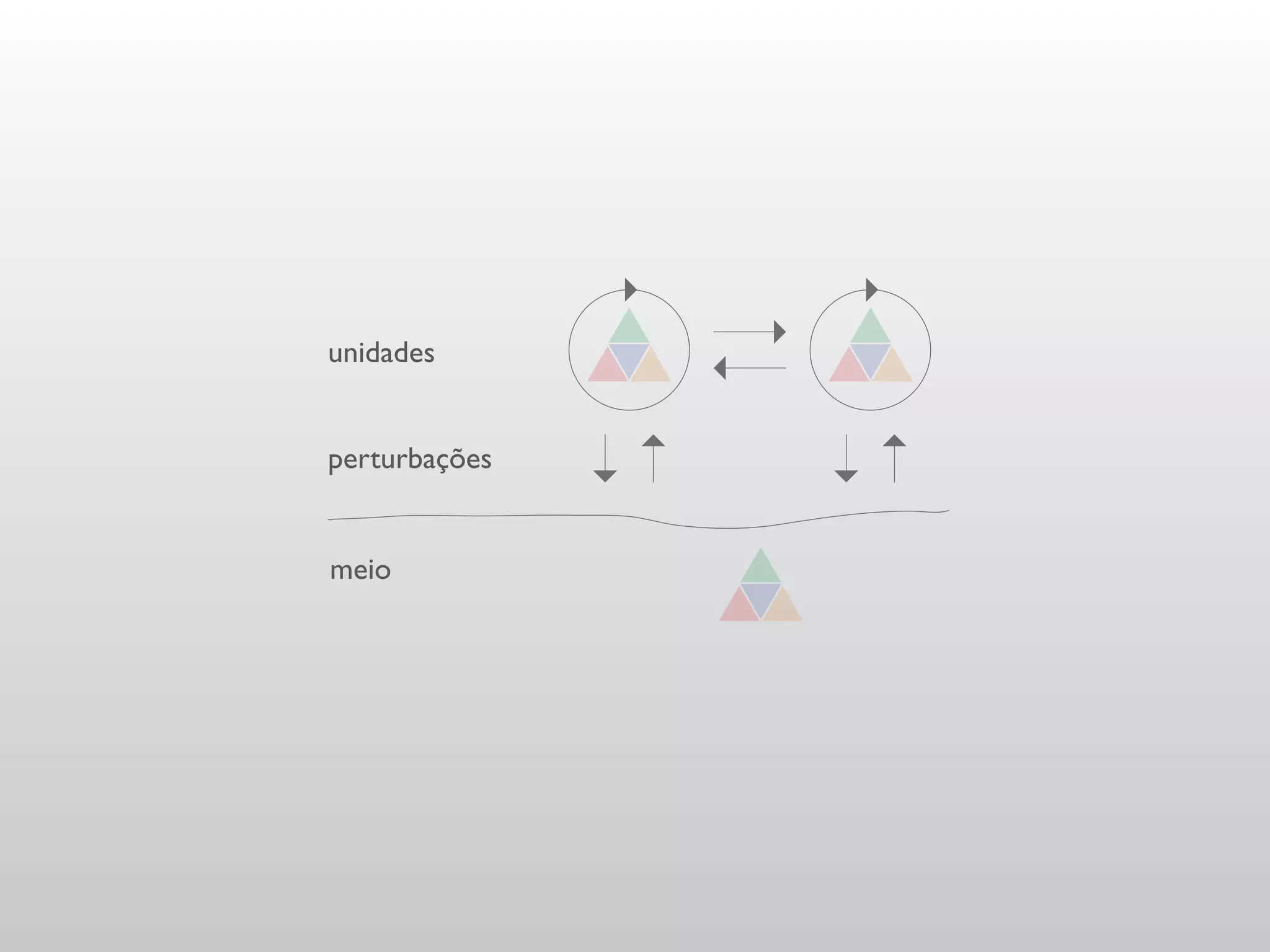 unidades


perturbações


meio
 