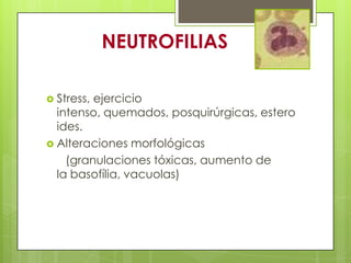 NEUTROFILIAS
 Stress, ejercicio
intenso, quemados, posquirúrgicas, estero
ides.
 Alteraciones morfológicas
(granulaciones tóxicas, aumento de
la basofília, vacuolas)
 