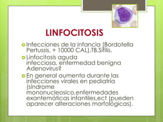 LINFOCITOSIS
 Infecciones de la infancia (Bordotella
Pertussis, + 10000 CAL),TB,Sífilis.
 Linfocitosis aguda
infecciosa, enfermedad benigna
Adenovirus?
 En general aumenta durante las
infecciones virales en pediatría
(síndrome
mononucleosico,enfermedades
exantemáticas infantiles,ect (pueden
aparecer alteraciones morfológicas).
 