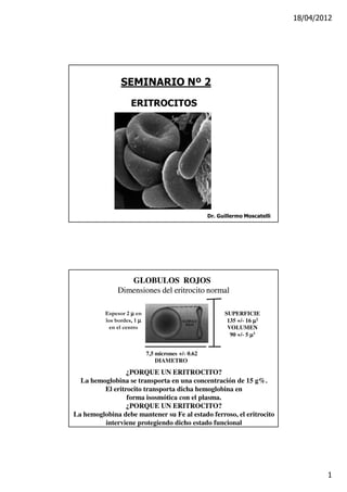 18/04/2012
1
SEMINARIO Nº 2
ERITROCITOS
Dr. Guillermo Moscatelli
GLOBULOS ROJOSGLOBULOS ROJOS
Dimensiones del eritrocito normalDimensiones del eritrocito normal
7,5 micrones +/- 0.62
DIAMETRO
SUPERFICIE
135 +/- 16 µµµµ2
VOLUMEN
90 +/- 5 µµµµ3
¿PORQUE UN ERITROCITO?¿PORQUE UN ERITROCITO?
La hemoglobina se transporta en una concentración de 15 g%.
El eritrocito transporta dicha hemoglobina en
forma isosmótica con el plasma.
¿PORQUE UN ERITROCITO?¿PORQUE UN ERITROCITO?
La hemoglobina debe mantener su Fe al estado ferroso, el eritrocito
interviene protegiendo dicho estado funcional
Espesor 2 µµµµ en
los bordes, 1 µµµµ
en el centro
 