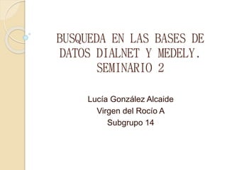 BUSQUEDA EN LAS BASES DE
DATOS DIALNET Y MEDELY.
SEMINARIO 2
Lucía González Alcaide
Virgen del Rocío A
Subgrupo 14
 