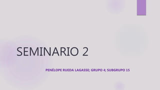 SEMINARIO 2
PENÉLOPE RUEDA LAGASSE; GRUPO 4; SUBGRUPO 15
 