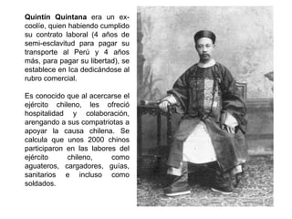 Quintín Quintana era un ex-
coolíe, quien habiendo cumplido
su contrato laboral (4 años de
semi-esclavitud para pagar su
transporte al Perú y 4 años
más, para pagar su libertad), se
establece en Ica dedicándose al
rubro comercial.

Es conocido que al acercarse el
ejército chileno, les ofreció
hospitalidad y colaboración,
arengando a sus compatriotas a
apoyar la causa chilena. Se
calcula que unos 2000 chinos
participaron en las labores del
ejército     chileno,     como
aguateros, cargadores, guías,
sanitarios e incluso como
soldados.
 