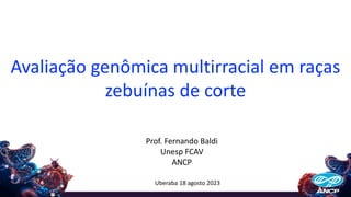 Avaliação genômica multirracial em raças
zebuínas de corte
Uberaba 18 agosto 2023
Prof. Fernando Baldi
Unesp FCAV
ANCP
 