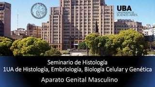 Seminario de Histología
1UA de Histología, Embriología, Biología Celular y Genética
Aparato Genital Masculino
 