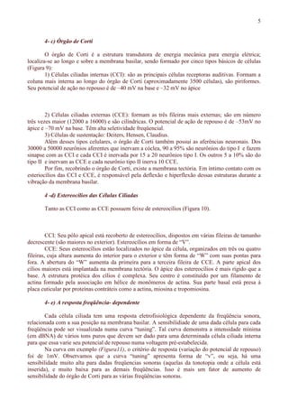 5
4- c) Órgão de Corti
O órgão de Corti é a estrutura transdutora de energia mecânica para energia elétrica;
localiza-se ao longo e sobre a membrana basilar, sendo formado por cinco tipos básicos de células
(Figura 9):
1) Células ciliadas internas (CCI): são as principais células receptoras auditivas. Formam a
coluna mais interna ao longo do órgão de Corti (aproximadamente 3500 células), são piriformes.
Seu potencial de ação no repouso é de –40 mV na base e –32 mV no ápice
2) Células ciliadas externas (CCE): formam as três fileiras mais externas; são em número
três vezes maior (12000 a 16000) e são cilíndricas. O potencial de ação de repouso é de –53mV no
ápice e –70 mV na base. Têm alta seletividade freqüencial.
3) Células de sustentação: Deiters, Hensen, Claudius.
Além desses tipos celulares, o órgão de Corti também possui as aferências neuronais. Dos
30000 a 50000 neurônios aferentes que inervam a cóclea, 90 a 95% são neurônios do tipo I e fazem
sinapse com as CCI e cada CCI é inervada por 15 a 20 neurônios tipo I. Os outros 5 a 10% são do
tipo II e inervam as CCE e cada neurônio tipo II inerva 10 CCE.
Por fim, recobrindo o órgão de Corti, existe a membrana tectória. Em íntimo contato com os
esteriocílios das CCI e CCE, é responsável pela deflexão e hiperflexão dessas estruturas durante a
vibração da membrana basilar.
4 -d) Estereocílios das Células Ciliadas
Tanto as CCI como as CCE possuem feixe de estereocílios (Figura 10).
CCI: Seu pólo apical está recoberto de estereocílios, dispostos em várias fileiras de tamanho
decrescente (são maiores no exterior). Estereocílios em forma de “V”.
CCE: Seus estereocílios estão localizados no ápice da célula, organizados em três ou quatro
fileiras, cuja altura aumenta do interior para o exterior e têm forma de “W” com suas pontas para
fora. A abertura do “W” aumenta da primeira para a terceira fileira de CCE. A parte apical dos
cílios maiores está implantada na membrana tectória. O ápice dos estereocílios é mais rígido que a
base. A estrutura protéica dos cílios é complexa. Seu centro é constituído por um filamento de
actina formado pela associação em hélice de monômeros de actina. Sua parte basal está presa à
placa cuticular por proteínas contráteis como a actina, miosina e tropomiosina.
4- e) A resposta freqüência- dependente
Cada célula ciliada tem uma resposta eletrofisiológica dependente da freqüência sonora,
relacionada com a sua posição na membrana basilar. A sensibilidiade de uma dada célula para cada
freqüência pode ser visualizada numa curva “tuning”. Tal curva demonstra a intensidade mínima
(em dBNA) de vários tons puros que devem ser dado para uma determinada célula ciliada interna
para que essa varie seu potencial de repouso numa voltagem pré-estabelecida.
Na curva em exemplo (Figura11), o critério de resposta (variação do potencial de repouso)
foi de 1mV. Observamos que a curva “tuning” apresenta forma de “v”, ou seja, há uma
sensibilidade muito alta para dadas freqüencias sonoras (aquelas da tonotopia onde a célula está
inserida), e muito baixa para as demais freqüências. Isso é mais um fator de aumento de
sensibilidade do órgão de Corti para as várias freqüências sonoras.
 