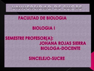 UNIVERSIDAD DE SUCRE            FACULTAD DE BIOLOGIA                        BIOLOGIA I SEMESTRE PROFESOR(A):                              JOHANA ROJAS SIERRA                               BIOLOGA-DOCENTE                      SINCELEJO-SUCRE 