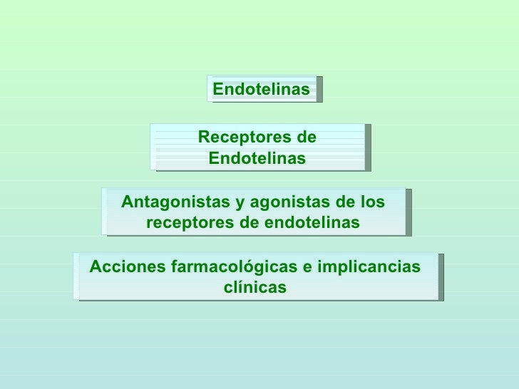 Endotelinas