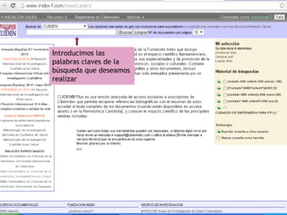 Introducimos las
palabras claves de la
búsqueda que deseamos
realizar
 