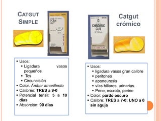 CATGUT
SIMPLE
 Usos:
 Ligadura vasos
pequeños
 Tcs
 Circuncisión
 Color. Ámbar amarillento
 Calibres: TRES a 9-0
 Potencial tensil: 5 a 10
días
 Absorción: 90 días
 Usos:
 ligadura vasos gran calibre
 peritoneo
 aponeurosis
 vías biliares, urinarias
 Pene, escroto, perine
 Color: pardo oscuro
 Calibre: TRES a 7-0; UNO a 0
sin aguja
Catgut
crómico
 