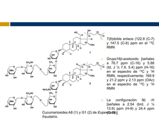    7(8)doble enlace (122.8 (C-7)
                                     y 147.5 (C-8) ppm en el 13C
                                     RMN


                                    Grupo16β-acetoxido [señales
                                     a 76.7 ppm (C-16) y 5.88
                                     (td, J ¼ 7.9, 5.4) ppm (H-16)
                                     en el espectro de 13C y 1H
                                     RMN, respectivamente; 169.9
                                     y 21.2 ppm y 2.13 ppm (OAc)
                                     en el espectro de 13C y 1H
                                     RMN


                                     La configuración 9β -H
                                      [señales a 2.54 (brd, J ¼
                                      13.9) ppm (H-9) y 24.4 ppm
Cucumariosides A8 (1) y G1 (2) de Eupentacta
                                      (C-19)]
fraudatrix.
 