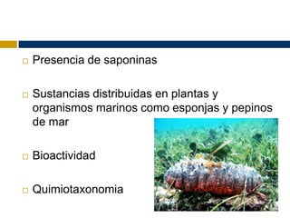    Presencia de saponinas

   Sustancias distribuidas en plantas y
    organismos marinos como esponjas y pepinos
    de mar

   Bioactividad

   Quimiotaxonomia
 