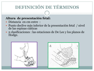 ESTACIÓN DE DE LEE
Estación
cero(encajamiento): borde
inferior de la presentación
llega al nivel de las espinas
ciáticas.
...