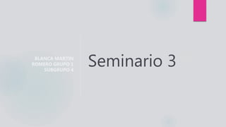 Seminario 3BLANCA MARTÍN
ROMERO GRUPO 1
SUBGRUPO 4
 