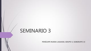 SEMINARIO 3
PENÉLOPE RUEDA LAGASSE; GRUPO 4, SUBGRUPO 15
 