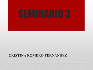 SEMINARIO 3
CRISTINA ROMERO FERNÁNDEZ
 