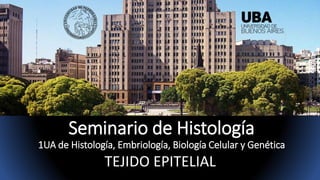Seminario de Histología
1UA de Histología, Embriología, Biología Celular y Genética
TEJIDO EPITELIAL
 