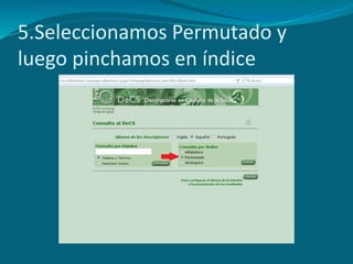 5.Seleccionamos Permutado y
luego pinchamos en índice
 