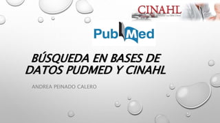 BÚSQUEDA EN BASES DE
DATOS PUDMED Y CINAHL
ANDREA PEINADO CALERO
 