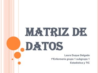 MATRIZ DE
DATOS
             Laura Duque Delgado
   1ºEnfermeria grupo 1 subgrupo 1
                  Estadística y TIC
 