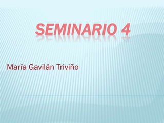 SEMINARIO 4
María Gavilán Triviño
 