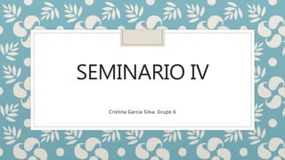 SEMINARIO IV 
Cristina García Silva. Grupo 6 
 