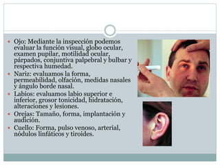 Ojo: Mediante la inspección podemos
evaluar la función visual, globo ocular,
examen pupilar, motilidad ocular,
párpados, conjuntiva palpebral y bulbar y
respectiva humedad.
 Nariz: evaluamos la forma,
permeabilidad, olfación, medidas nasales
y ángulo borde nasal.
 Labios: evaluamos labio superior e
inferior, grosor tonicidad, hidratación,
alteraciones y lesiones.
 Orejas: Tamaño, forma, implantación y
audición.
 Cuello: Forma, pulso venoso, arterial,
nódulos linfáticos y tiroides.
 