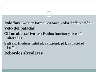 Paladar: Evaluar forma, lesiones, color, inflamación.
Velo del paladar
Glándulas salivales: Evalúa función y se están
alteradas
Saliva: Evaluar calidad, cantidad, pH, capacidad
buffer
Rebordes alveolares
 