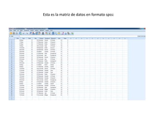 Esta es la matriz de datos en formato spss: