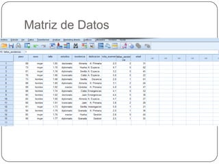 Matriz de Datos
 