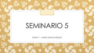 SEMINARIO 5
GRUPO 1 – MARÍA GARCÍA DIÉGUEZ
 