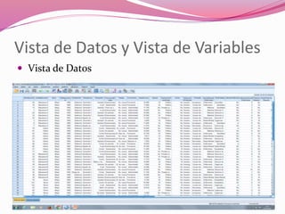 Vista de Datos y Vista de Variables
 Vista de Datos
 
