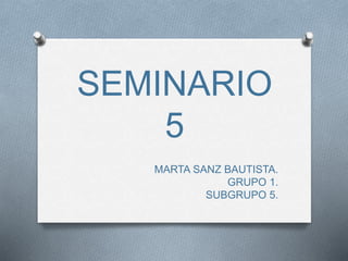 SEMINARIO
5
MARTA SANZ BAUTISTA.
GRUPO 1.
SUBGRUPO 5.
 