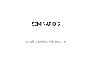 SEMINARIO 5
Conchita Salvador Valderrábano
 