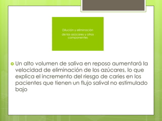  Un alto volumen de saliva en reposo aumentará la
velocidad de eliminación de los azúcares, lo que
explica el incremento del riesgo de caries en los
pacientes que tienen un flujo salival no estimulado
bajo
Dilución y eliminación
de los azúcares y otros
componentes
 