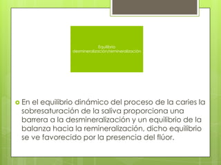  En el equilibrio dinámico del proceso de la caries la
sobresaturación de la saliva proporciona una
barrera a la desmineralización y un equilibrio de la
balanza hacia la remineralización, dicho equilibrio
se ve favorecido por la presencia del flúor.
Equilibrio
desmineralización/remineralización
 