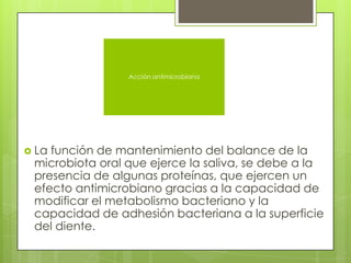  La función de mantenimiento del balance de la
microbiota oral que ejerce la saliva, se debe a la
presencia de algunas proteínas, que ejercen un
efecto antimicrobiano gracias a la capacidad de
modificar el metabolismo bacteriano y la
capacidad de adhesión bacteriana a la superficie
del diente.
Acción antimicrobiana
 